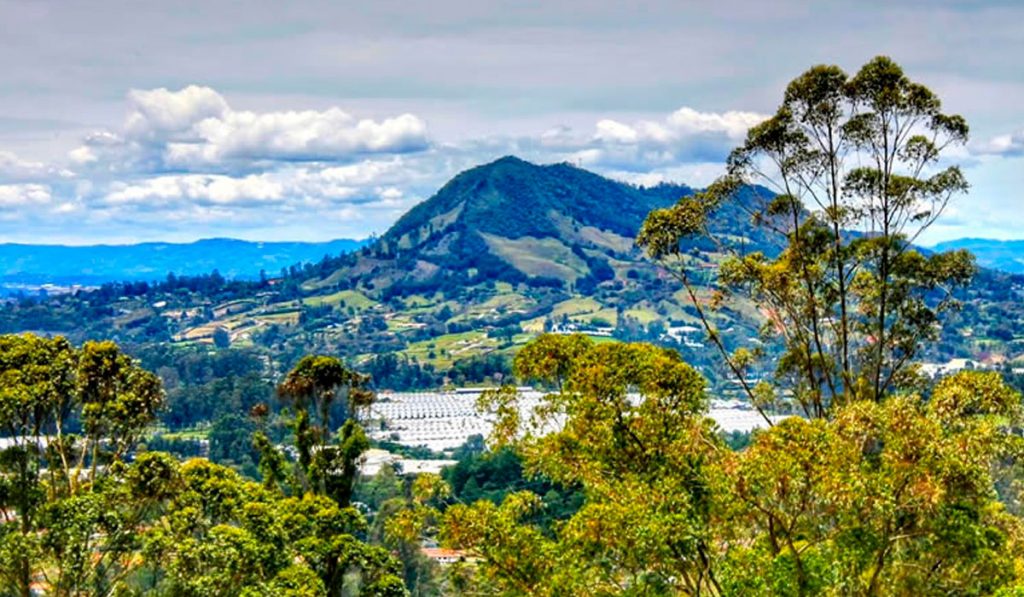 Cerro El Capiro